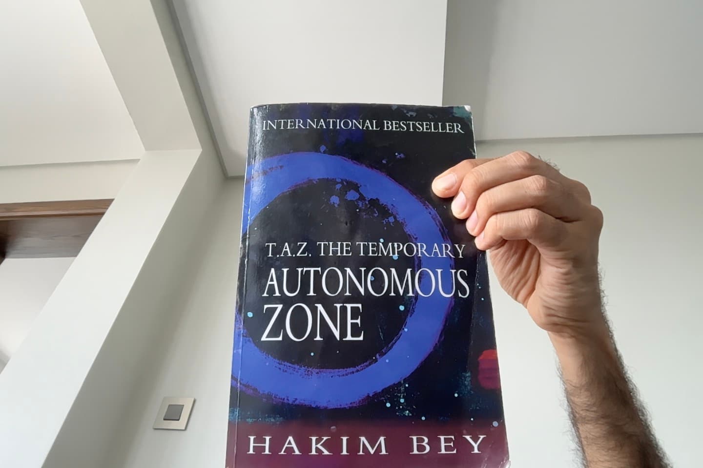TAZ - Hakim Bey book